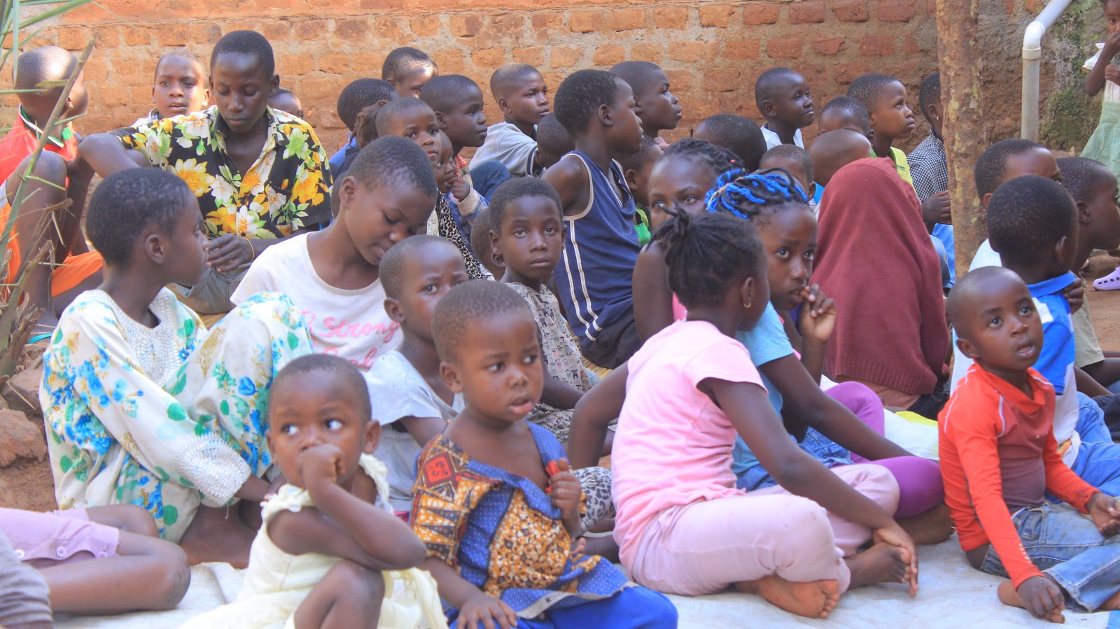 Shelter and Daily Care