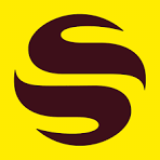 Sendwave Logo